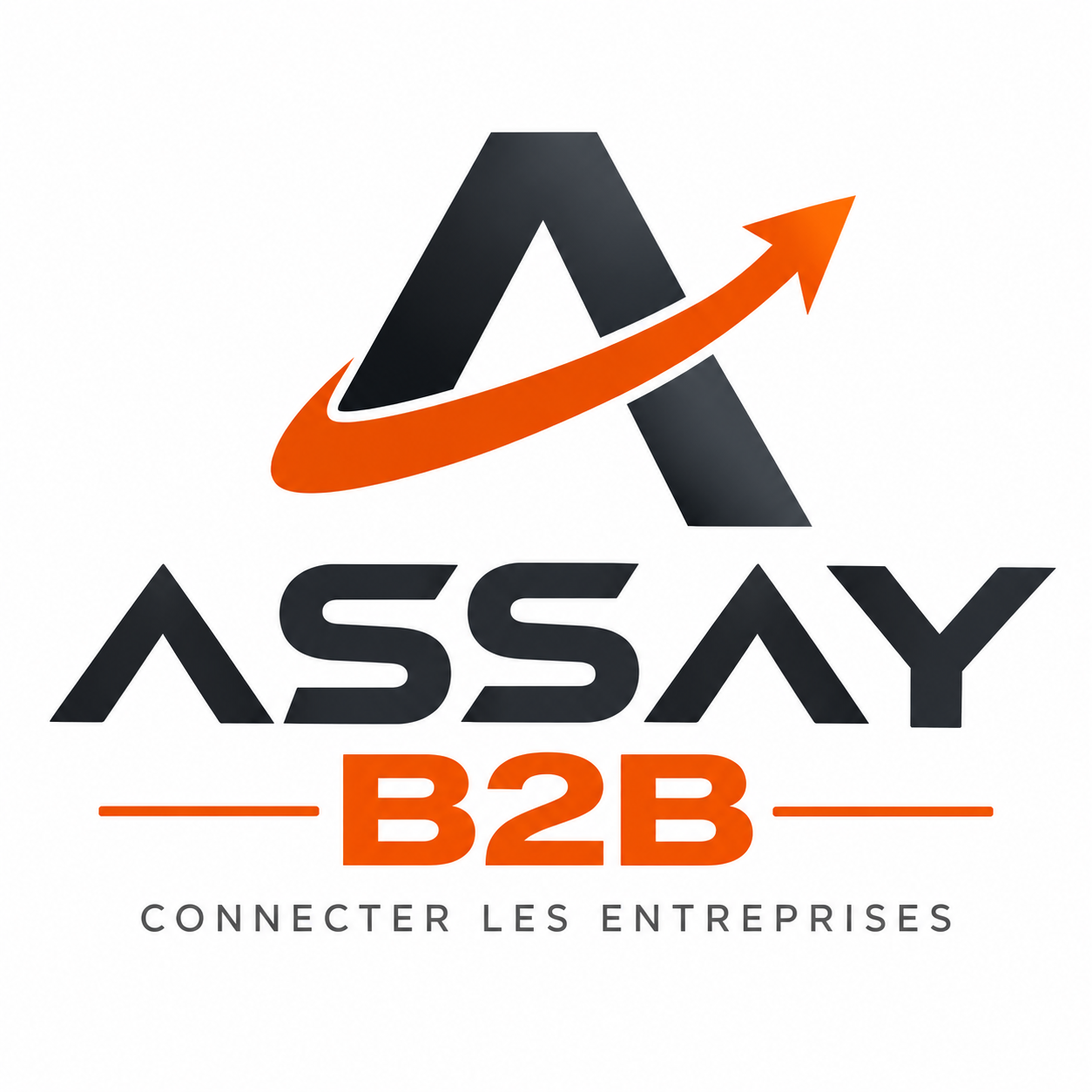 ASSAY B2B